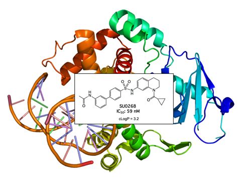 DNA Repair and Cancer - Kool Lab Home