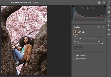 New feature summary | Adobe Camera Raw (October 2022 release)