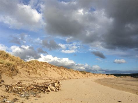 Braunton Burrows - world heritage site on the North Devon coast - a ...