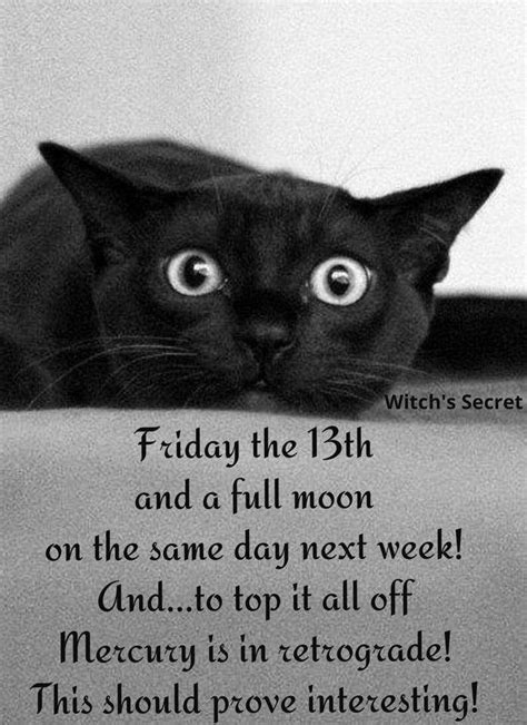 Wiccan Friday The 13th Pic Quotes. QuotesGram