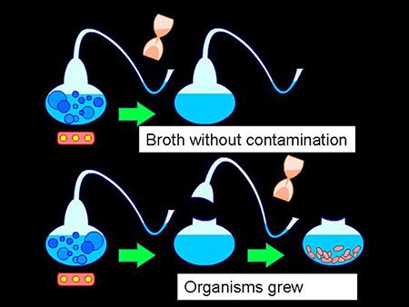 Spontaneous Generation Theory | Definition & Examples - Lesson | Study.com