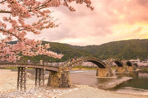 Top 7 Interesting Bridges Around the World