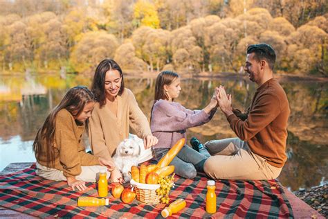 Family On A Picnic - Stock Photos | Motion Array