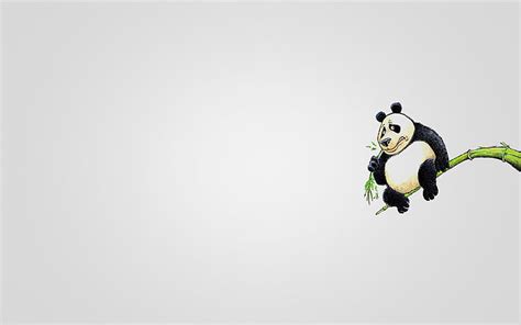 HD wallpaper: panda illustration, tree, animal, minimalism, branch ...