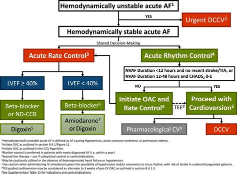 Atrial Fibrillation – Cardio Guide