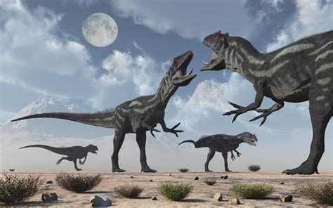 A pack of Allosaurus dinosaurs from Earths Jurassic period Poster Print ...