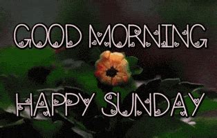 Happy Sunday GIFs - Find & Share on GIPHY