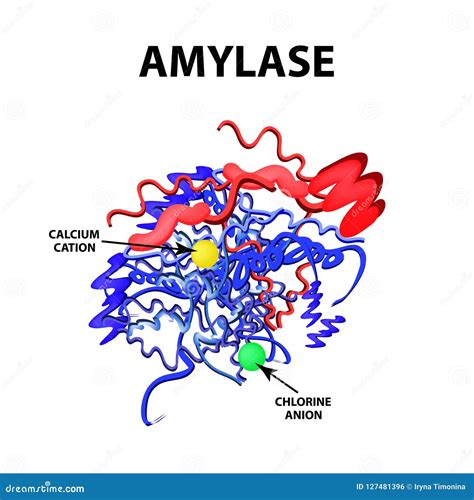 Amylase Cartoons, Illustrations & Vector Stock Images - 18 Pictures to ...