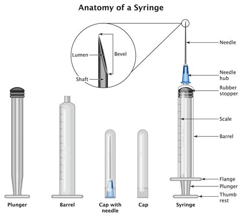 A Simple Guide To Medical Needles & Syringes - FAQs