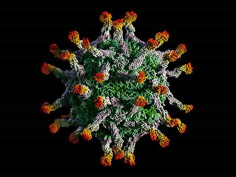 Royalty Free Polio Virus Pictures, Images and Stock Photos - iStock