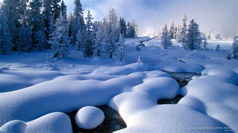 Yellowstone Winter Wallpapers - Top Free Yellowstone Winter Backgrounds ...