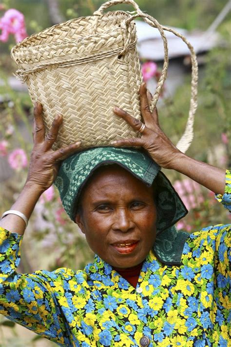 Woman carrying coffee, Timor-Leste United Nations Photo, flickr ...