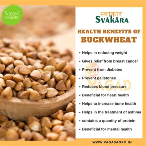 Buckwheat / Kuttu: 10 Key Health Benefits