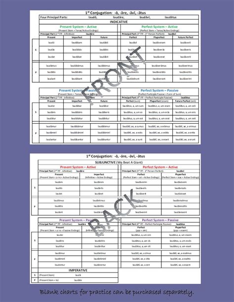 Latin Grammar Rules Booklet first, Second, & Third Year Henle With ...