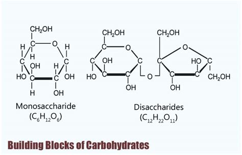 Basic Carbohydrate Structure