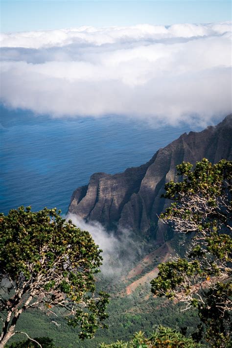 How to Use a Circular Polarizer Filter — Trent Ogilvie