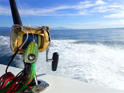 Big Game Fishing For Non-Experienced Anglers | Sportquest Holidays