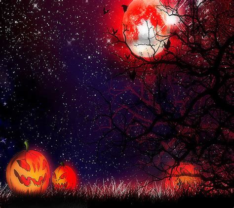 Halloween Night, halloween, night, HD wallpaper | Peakpx