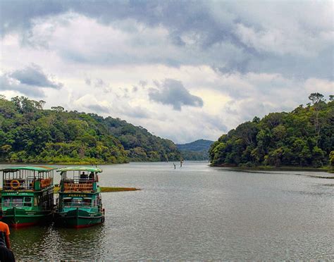 Guide: Thekkady Boating Online Booking Periyar National Park