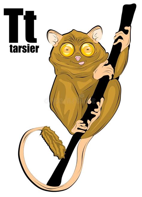 Cartoon Tarsier Stock Illustrations – 419 Cartoon Tarsier Stock ...