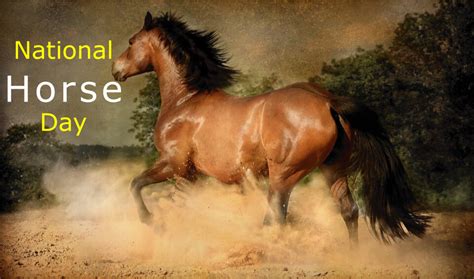 National Horse Day 2022: Wishes, Messages, Quotes & Captions