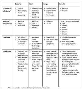 Viral? Bacterial? Fungal? What Are The Different Types of Infections ...