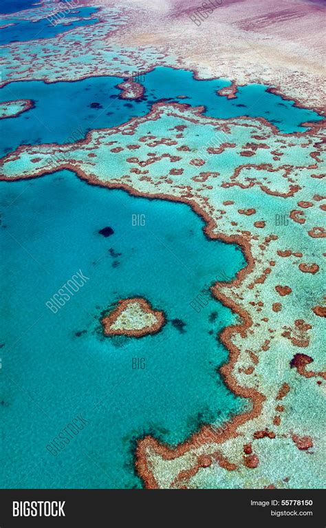 Heart Reef Great Image & Photo (Free Trial) | Bigstock