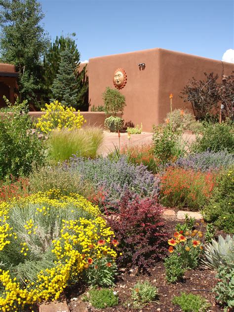 Review Of Best Shrubs For Desert Landscaping Ideas