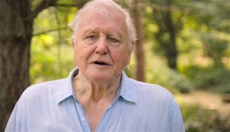 David Attenborough says he might not be here to see us save the planet ...