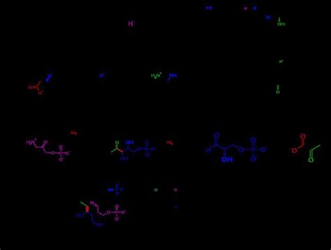 Pyridoxal phosphate - Alchetron, The Free Social Encyclopedia