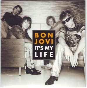 Bon Jovi - It's My Life (2001, CD) | Discogs