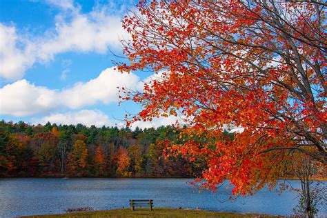 HD wallpaper: new england, foliage, lake, fall, nature, autumn, leaves ...