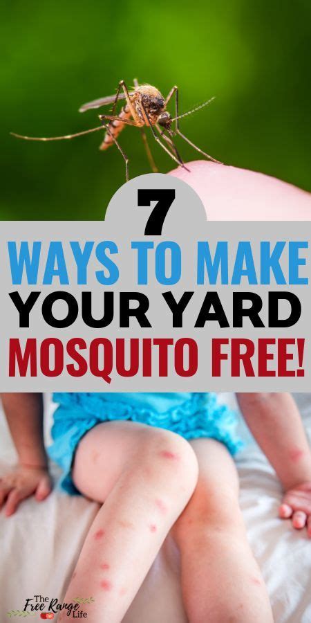 Get Rid of Mosquitoes: 7 Natural Mosquito Repellents for Your Yard ...