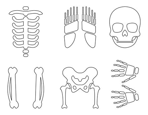 Printable Skeleton Template Life Size Skeleton Skeleton Template | Porn ...