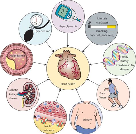 Macrovascular disease and risk factors in youth with type 1 diabetes ...