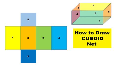 How to draw cuboid net of cuboid in ms word by drawing school - YouTube