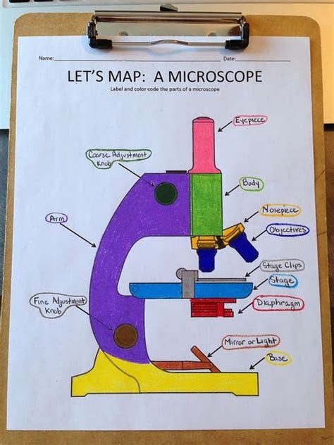 A View Through the Microscope | Biology lessons, Science lessons ...