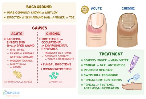 Paronychia: What Is It, Causes, Signs and Symptoms | Osmosis