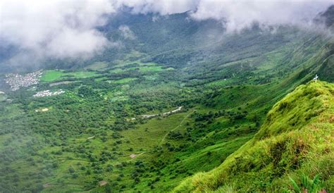 Nagaland Profile | Nagaland State Portal