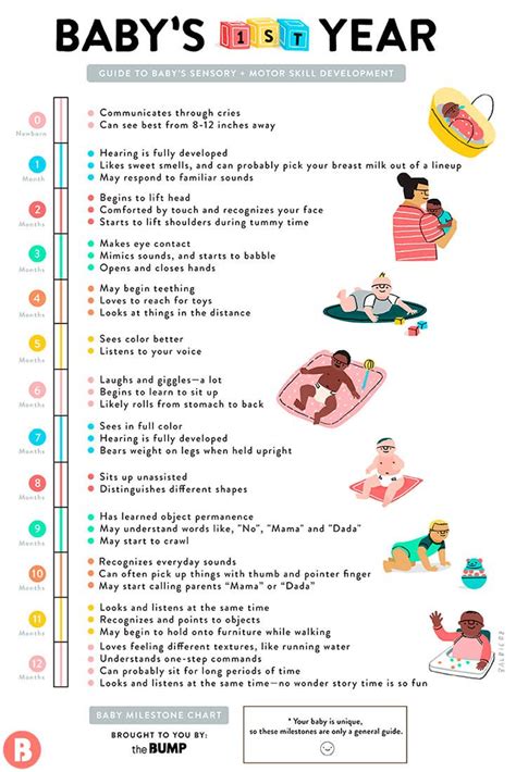 Baby Developmental Milestones and Chart | Baby facts, Baby development ...