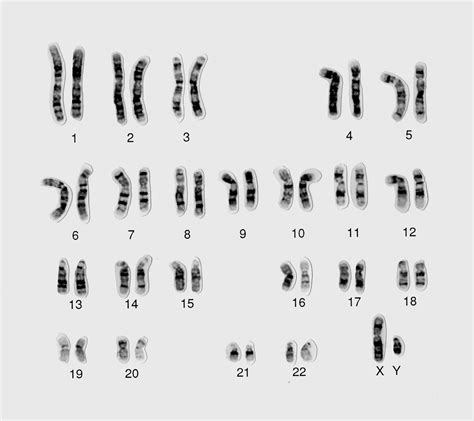 CytoGPS