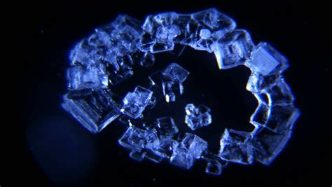 Microscope Time Lapse Salt Crystallization No.025 Stock Footage Video ...