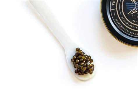 Most Expensive Caviar: Exquisite Eats For Epicurean Elites