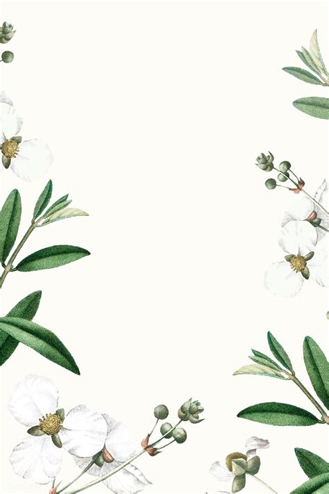 White flower on a beige background vector template | premium image by ...