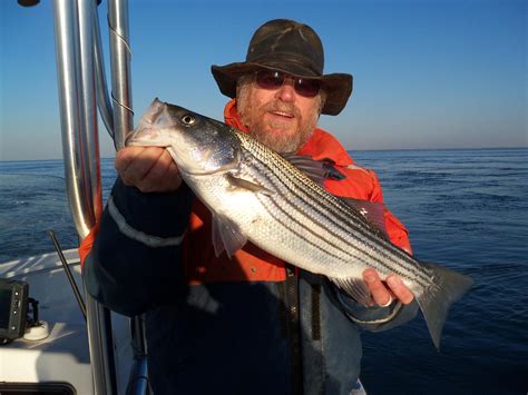 A View from the Beach: First Rockfish of the "Catch and Release" Season