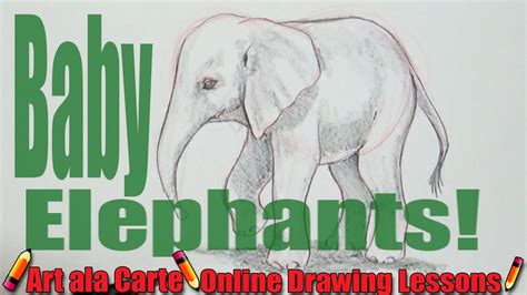 How To Draw A Realistic Baby Elephant Step By Step - naianecosta16