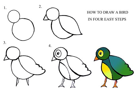 DARYL HOBSON ARTWORK: How To Draw A Bird step by step