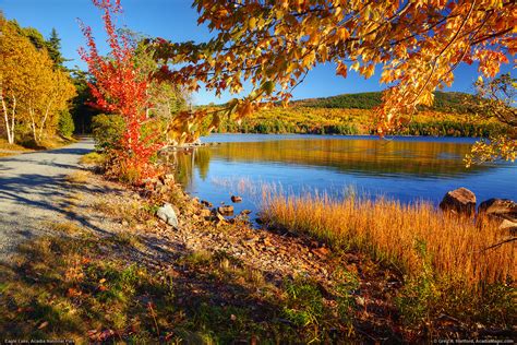 Acadia National Park, Fall Foliage | The fall foliage was pe… | Flickr