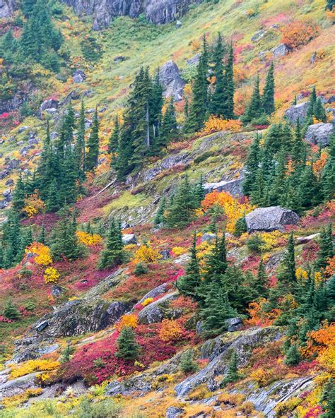 Fall colors in the beautiful North Cascades, WA [1200x1500] - Nature ...