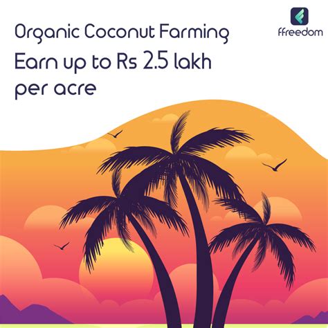 learn to earn with this concise guide on organic coconut farming.